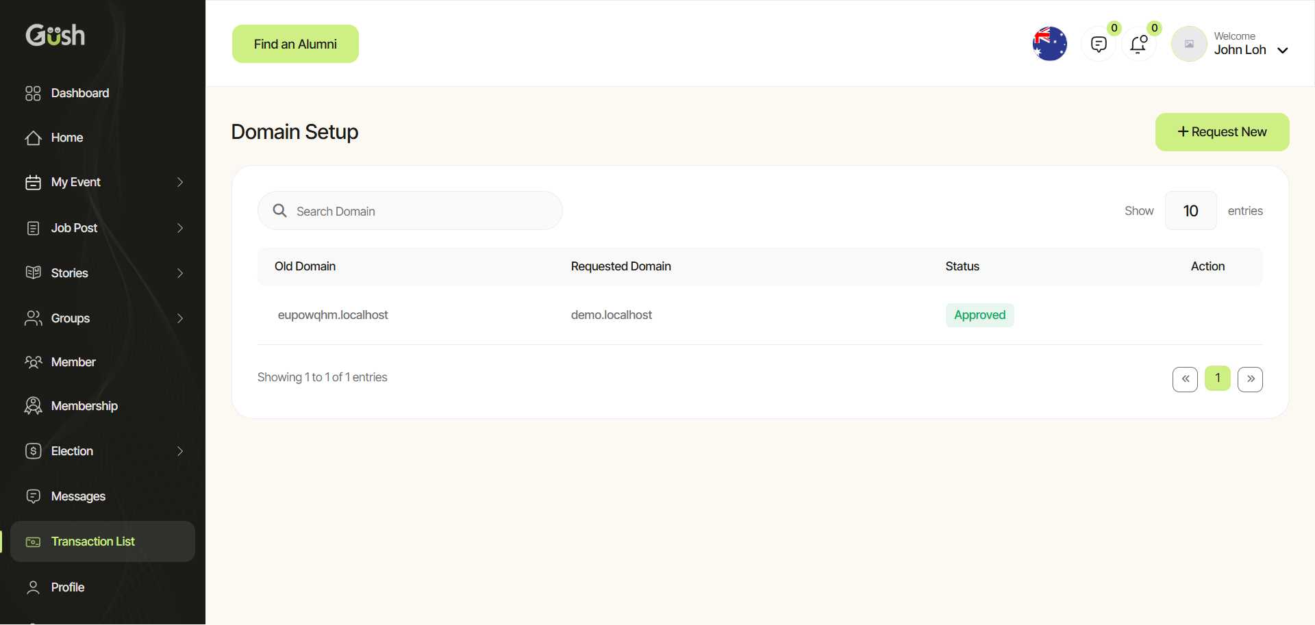 Custom Domain Setup